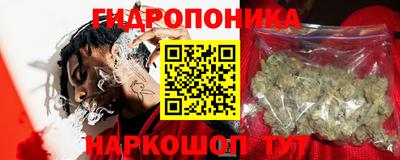 Альфа ПВП Гатчина