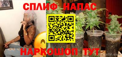 Альфа ПВП Гатчина