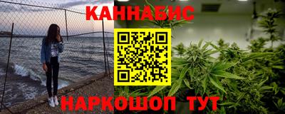 Альфа ПВП Гатчина