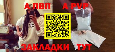 Альфа ПВП Гатчина