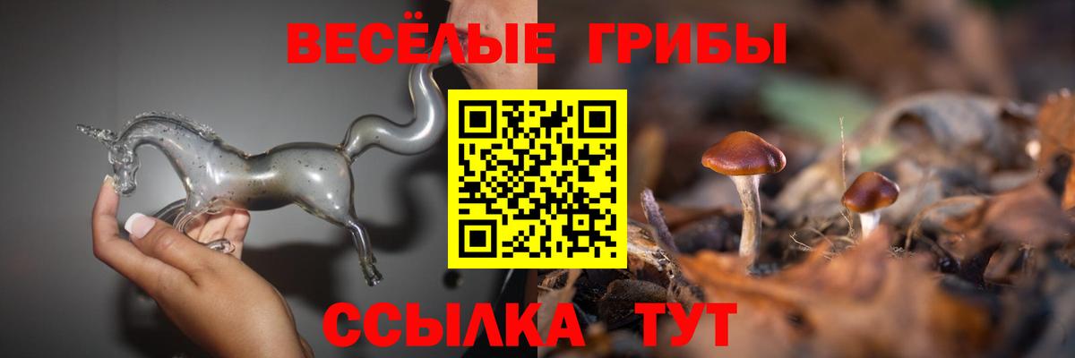 Новотроицк  как найти закладки  Галлюциногенные грибы прущие грибы  Вход с VPN  Галлюциногенные грибы Psilocybe 